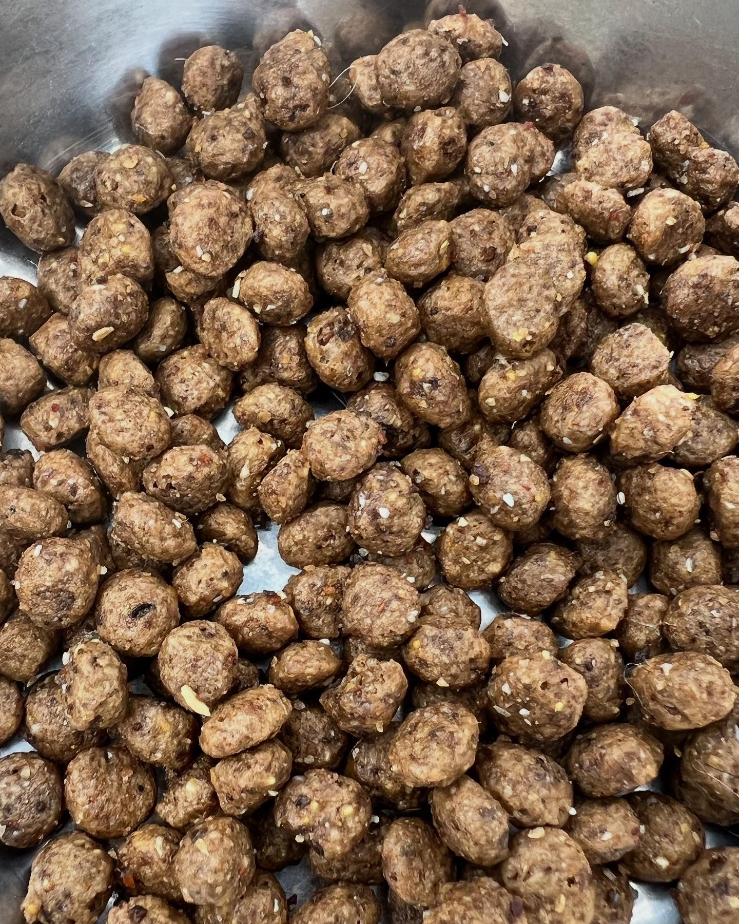 Puppy MAIALE 18kg
