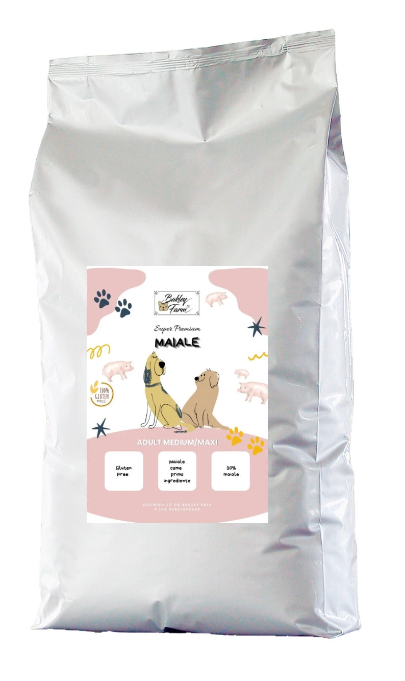 Adult medium/maxi MAIALE 🐷