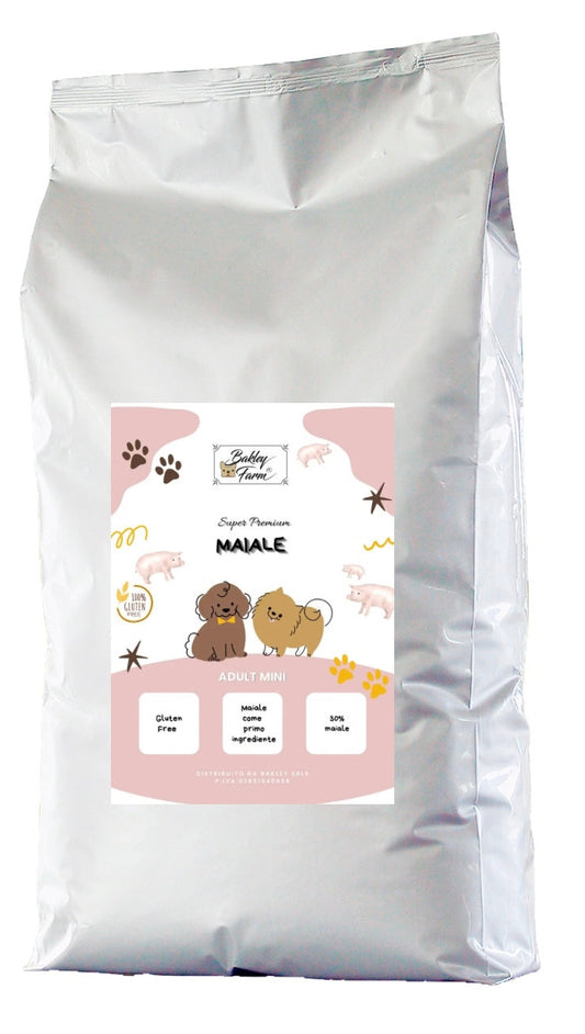 Adult mini MAIALE 🐷