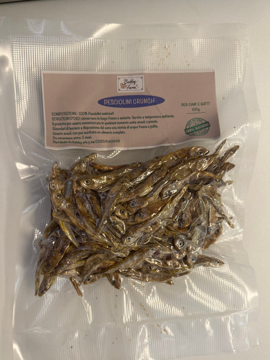 Snack Crunch 100g