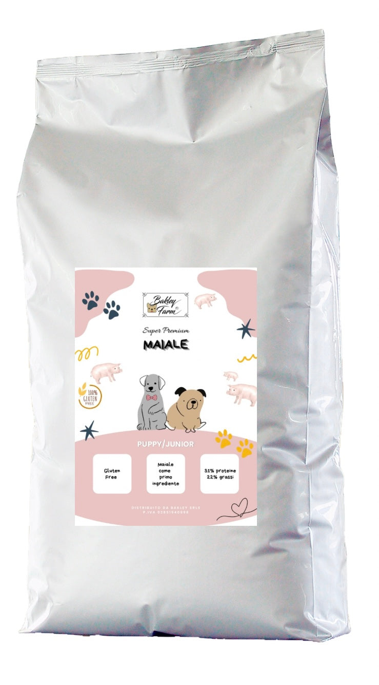 Puppy MAIALE
