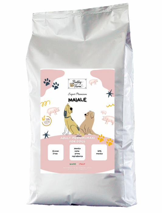 Adult medium/maxi MAIALE 🐷