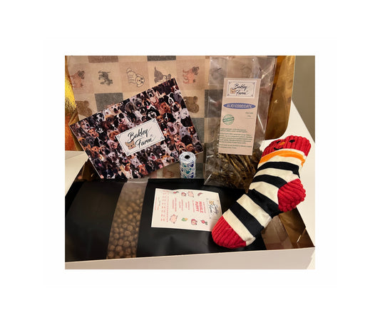 Puppy Kit/Cofanetto regalo 🐶