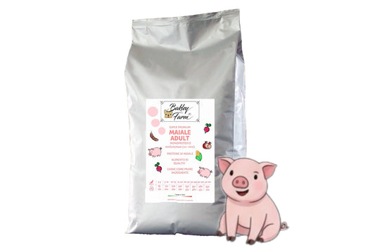 Adult MONOproteico Maiale 🐷 medium/maxi